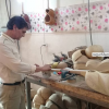کارگاه ساخت تار پاشاپوری